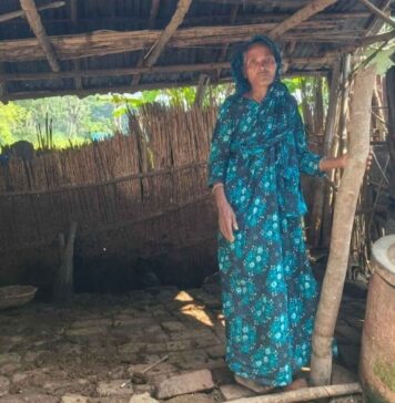 বৃদ্ধা জরিনার শেষ সম্বল গাভি চুরি, দিশেহারা অসহায় পরিবার