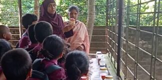 হারিয়ে গেছে ২৭ জাতের ধান, বীজগুলোর ঠাঁই সংরক্ষণাগারে