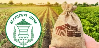 ১০ হাজার টাকা পর্যন্ত কৃষিঋণের হিসাব চাইল বাংলাদেশ ব্যাংক