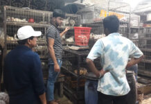 পোল্ট্রির বাজারে স্বস্তি: একদিনের ব্যবধানে কেজিতে কমল ৩০ টাকা