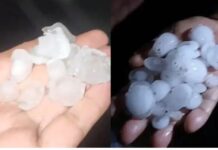 আকস্মিক শিলাবৃষ্টি, ধান ও কলাচাষিদের ক্ষতির আশঙ্কা