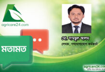 ৬৫০ টাকায় গরুর মাংস : দ্রব্যমূল্যের ঊর্ধ্বগতিতে স্বস্তির হাওয়া