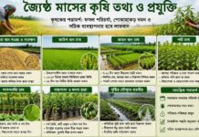 জ্যৈষ্ঠ মাসে কৃষিতে ভালো করতে কৃষকের করণীয়